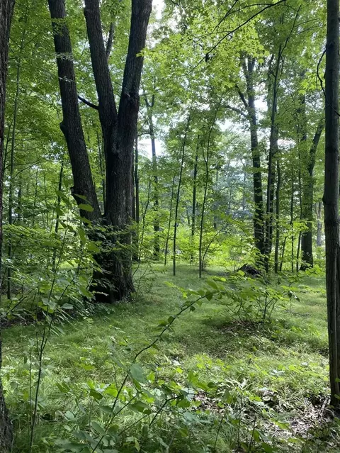 Elm, Lakeview, MI 48850 photo 2