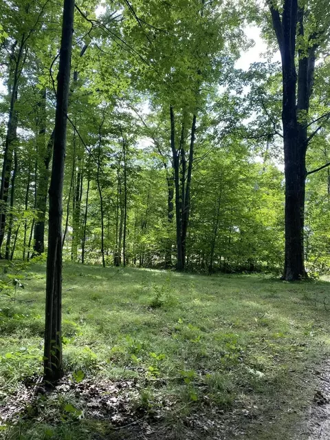 Elm, Lakeview, MI 48850