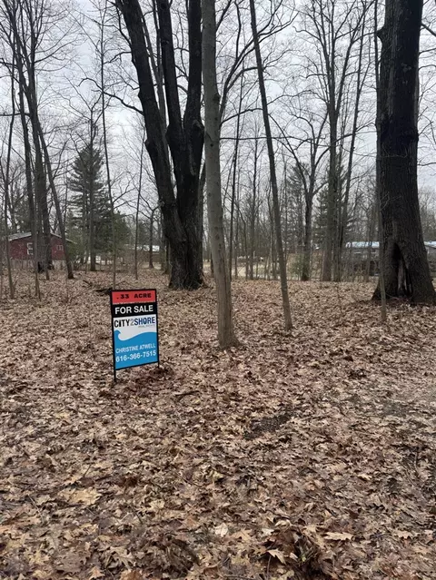 Elm, Lakeview, MI 48850 photo 15