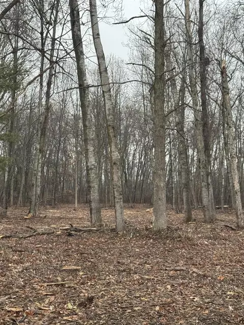 S Main, Au Gres, MI 48703 photo 3