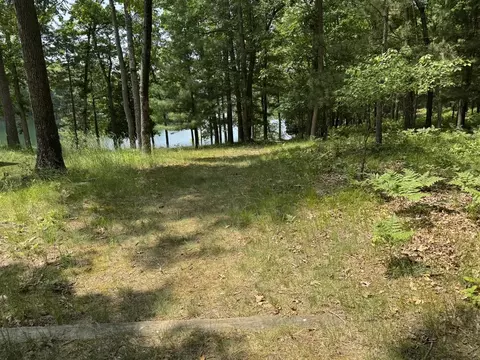 View/Area - 5859 N Utter, Irons, MI 49644 photo 3 of 6