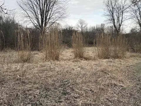 Vl Harper, Holt, MI 48842 photo 28