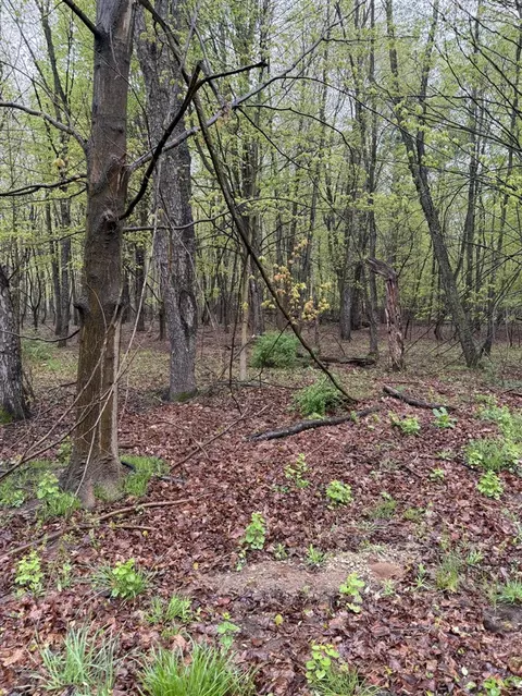 lot2 Christopher, South Haven, MI 49090