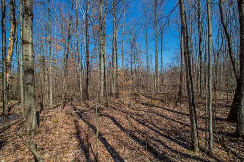3069 E Monroe, White Cloud, MI 49349 photo 19