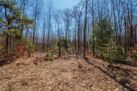 3069 E Monroe, White Cloud, MI 49349 photo 6