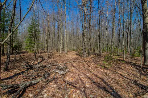 3069 E Monroe, White Cloud, MI 49349 photo 16