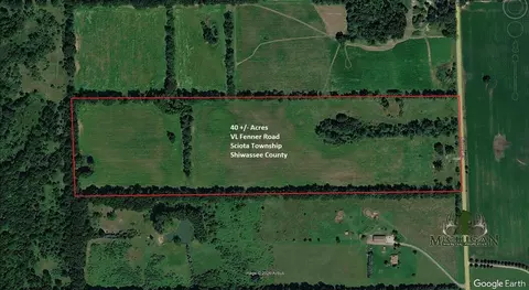 Vl Fenner Road, Laingsburg, MI 48848