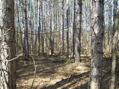 V/l E Pine Hill, White Cloud, MI 49349