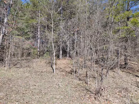 V/l E Pine Hill, White Cloud, MI 49349 photo 2