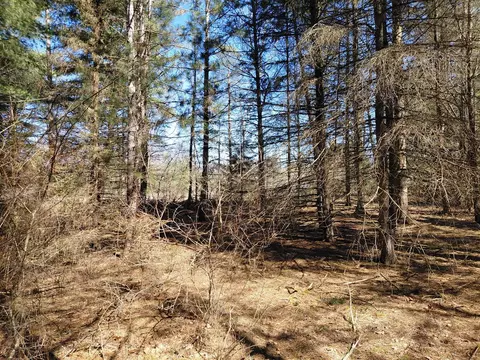 V/l E Pine Hill, White Cloud, MI 49349 photo 3