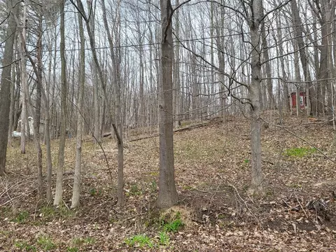46 Peterson Drive, Gobles, MI 49055