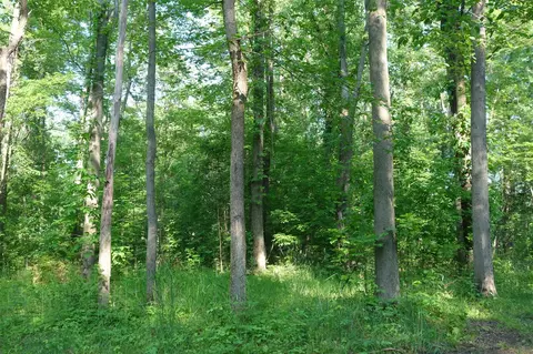 0 Willis, Ypsilanti, MI 48197