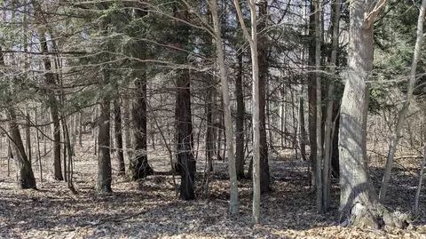 opal ridge, Onekama, MI 49675 photo 6