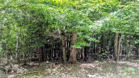 opal ridge, Onekama, MI 49675 photo 3