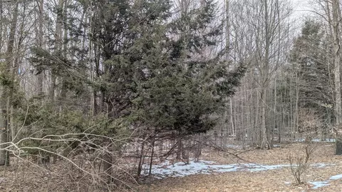 opal ridge, Onekama, MI 49675 photo 8