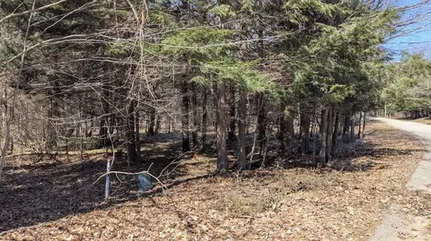 opal ridge, Onekama, MI 49675 photo 5
