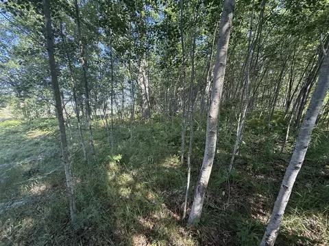 w royal LOT C, Canadian Lakes, MI 49346