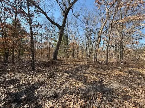 Vl S Arrowhead, Baldwin, MI 49304 photo 5