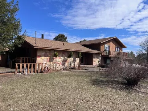 8903 Maidens, Bear Lake, MI 49614