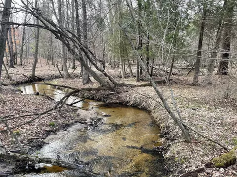 N Croswell, White Cloud, MI 49349 photo 12