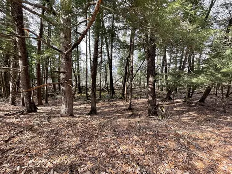 N Croswell, White Cloud, MI 49349 photo 18