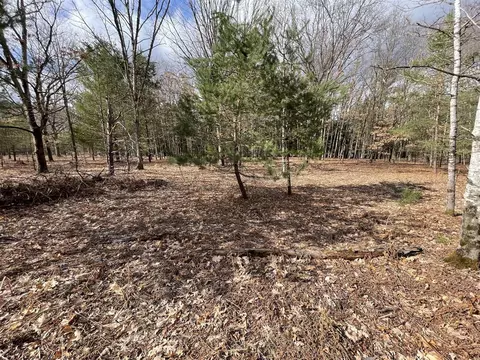 N Croswell, White Cloud, MI 49349 photo 19