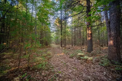 North Wildwood, Manistee, MI 49660