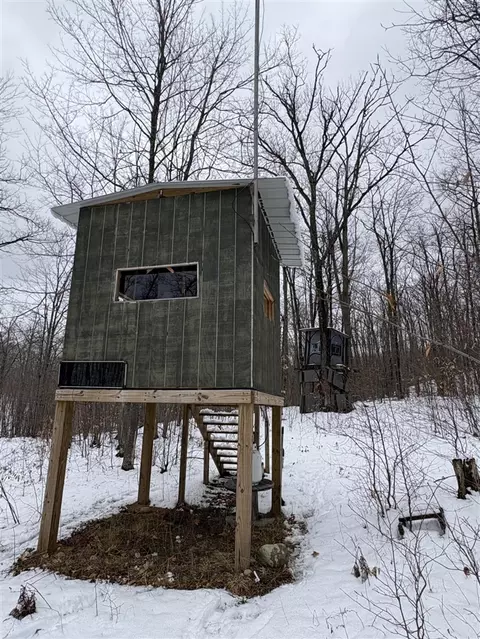 Tower Rd, Curran, MI 48728 photo 12