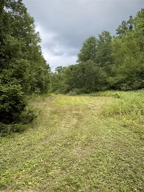 Tower Rd, Curran, MI 48728 photo 10