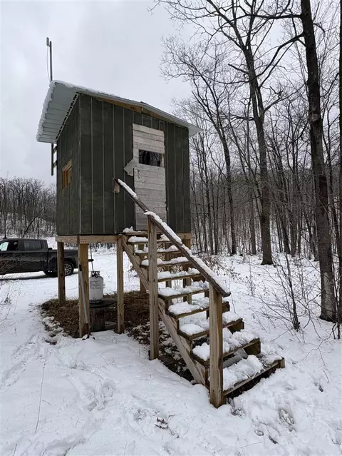 Tower Rd, Curran, MI 48728 photo 13