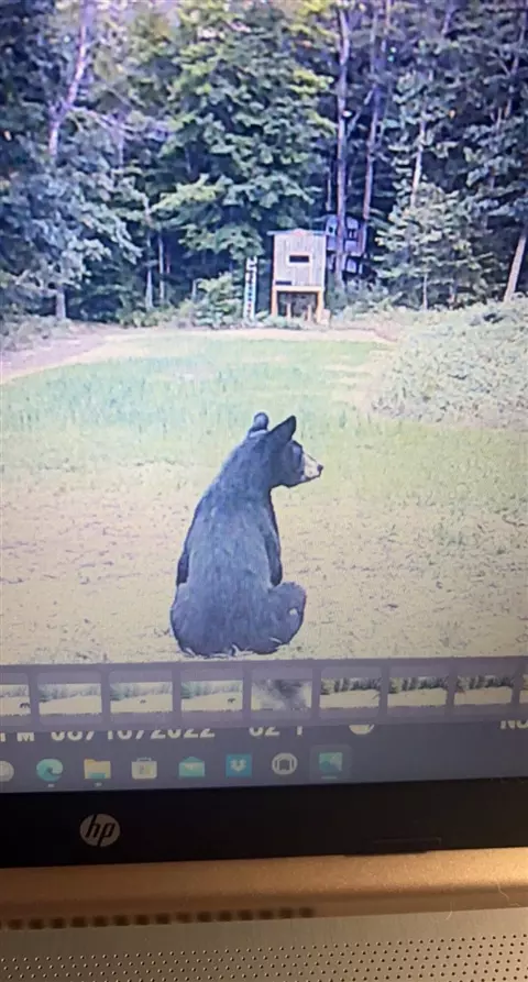 Tower Rd, Curran, MI 48728 photo 9