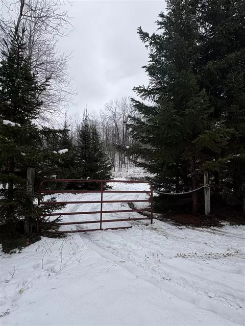 Tower Rd, Curran, MI 48728 photo 21