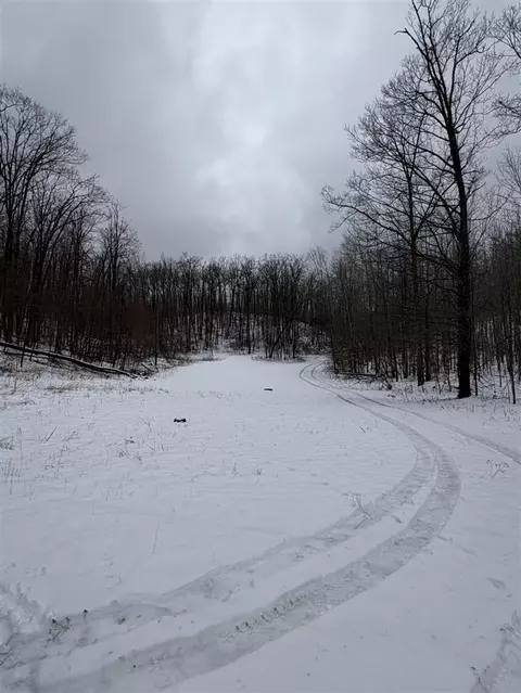 Tower Rd, Curran, MI 48728 photo 16