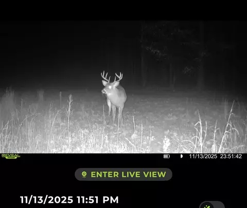 Tower Rd, Curran, MI 48728 photo 6
