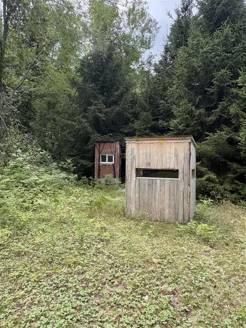 Tower Rd, Curran, MI 48728 photo 11