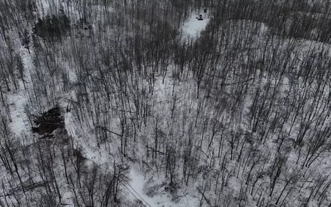 Tower Rd, Curran, MI 48728 photo 2