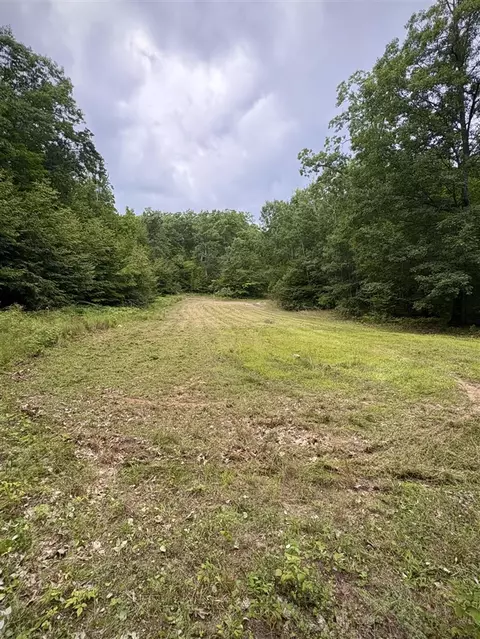 Tower Rd, Curran, MI 48728 photo 5