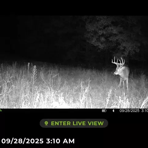 Tower Rd, Curran, MI 48728 photo 8