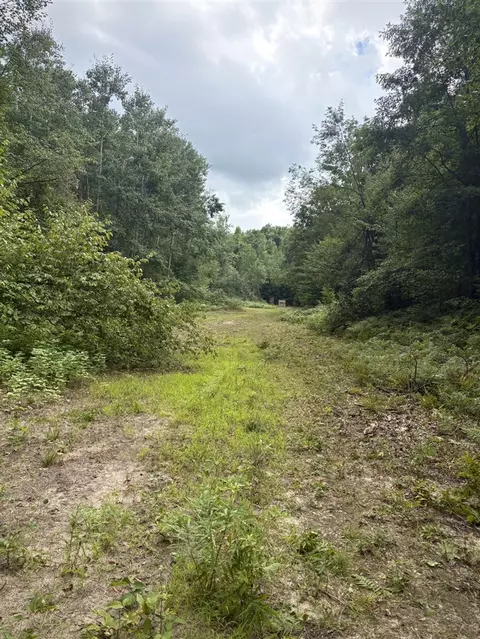 Tower Rd, Curran, MI 48728 photo 9