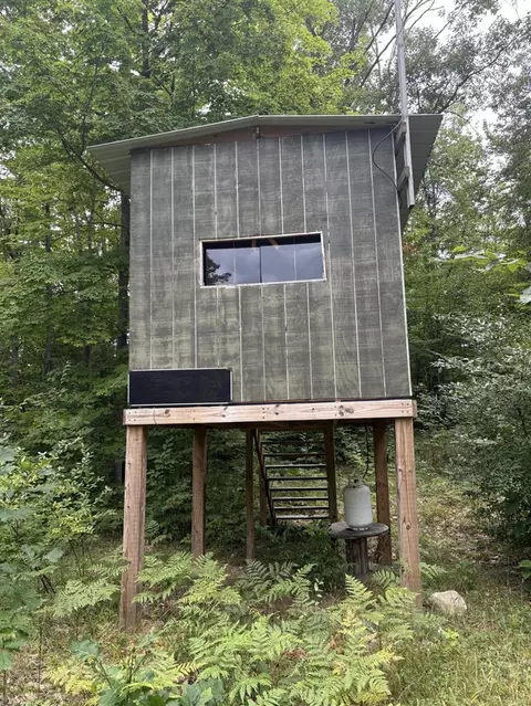 Tower Rd, Curran, MI 48728 photo 8