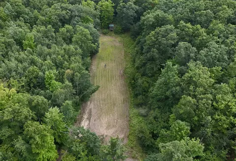 Tower Rd, Curran, MI 48728 photo 2
