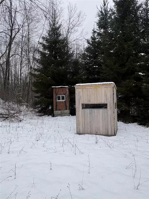 Tower Rd, Curran, MI 48728 photo 17