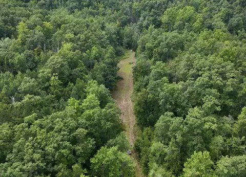Tower Rd, Curran, MI 48728 photo 3
