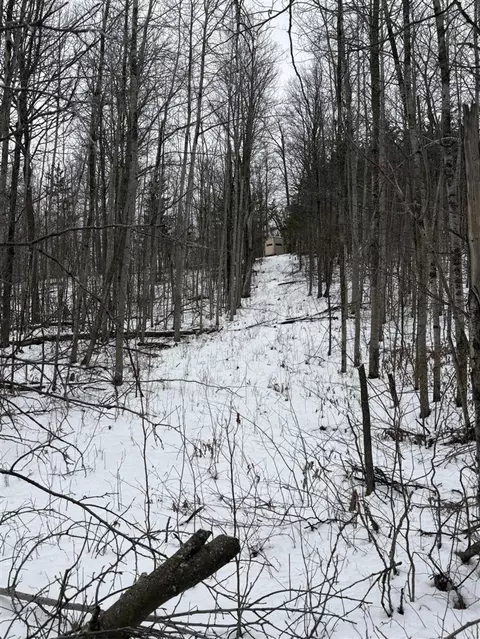 Tower Rd, Curran, MI 48728 photo 18