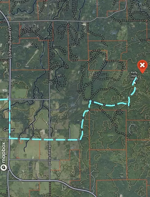 Tower Rd, Curran, MI 48728 photo 23