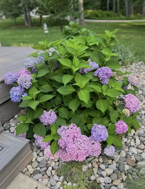 Other - 5135 Moscow, Spring Arbor, MI 49283 photo 13 of 13