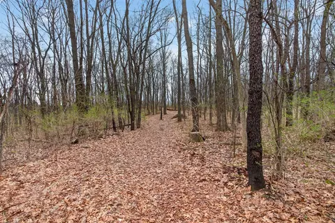 Other - 5135 Moscow, Spring Arbor, MI 49283 photo 12 of 13