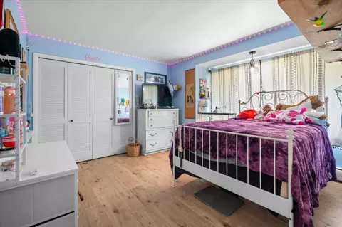 Bedroom - 45 Mill, Saranac, MI 48881 photo 2 of 2