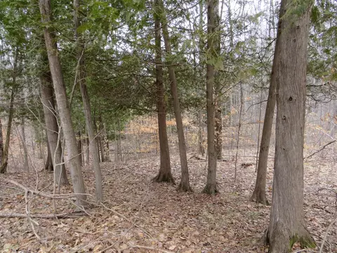 M-115, Marion, MI 49665 photo 13