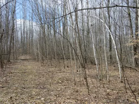 M-115, Marion, MI 49665 photo 22
